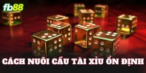 Cách Nuôi Cầu Tài Xỉu Ổn Định