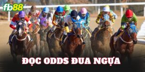 Đọc Odds Đua Ngựa