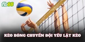 Kèo Bóng Chuyền Đội Yếu Lật Kèo
