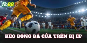 Kèo Bóng Đá Cửa Trên Bị Ép