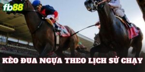 Kèo Đua Ngựa Theo Lịch Sử Chạy