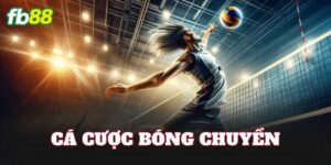 Cá Cược Bóng Chuyền