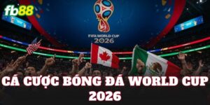 Cá Cược Bóng Đá World Cup 2026