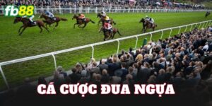 Cá Cược Đua Ngựa