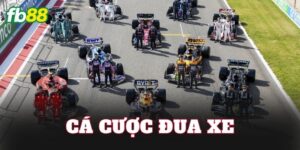 Cá Cược Đua Xe
