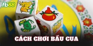 Cách Chơi Bầu Cua