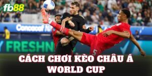 Cách Chơi Kèo Châu Á World Cup