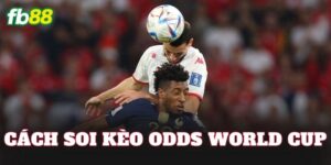 Cách Soi Kèo Odds World Cup
