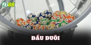 Đầu Đuôi