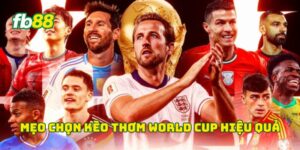 Mẹo chọn kèo thơm World Cup hiệu quả