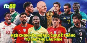 Mẹo chọn kèo World Cup dễ thắng từ cao thủ lâu năm