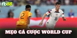 Mẹo Cá Cược World Cup