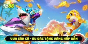 Vua săn cá - Ưu đãi tặng vàng hấp dẫn