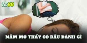 Nằm Mơ Thấy Có Bầu Đánh Gì
